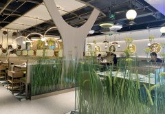 餐廳生意不好應該怎么辦，餐飲老兵的8條建議：其中有幾條餐飲人都踩過！